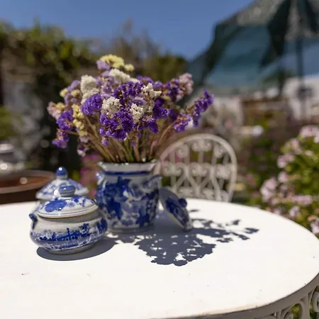 House Babylon With Kitchenette And Garden 4* Torreira