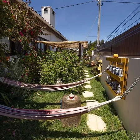 Pensión House Babylon With Kitchenette And Garden
