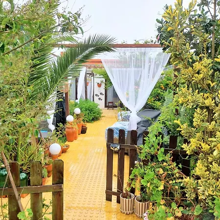 Pensión House Babylon With Kitchenette And Garden
