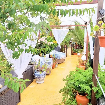 Pensión House Babylon With Kitchenette And Garden 3*