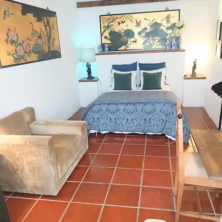 House Babylon With Kitchenette And Garden