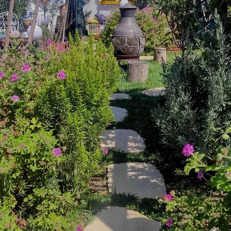 House Babylon With Kitchenette And Garden Guest house 4*