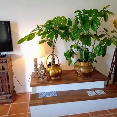 House Babylon With Kitchenette And Garden Torreira