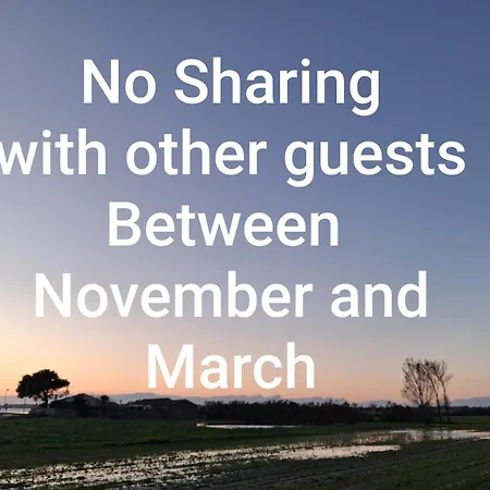 House Babylon With Kitchenette And Garden 4*