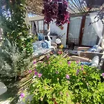 House Babylon With Kitchenette And Garden 4*