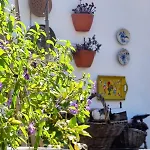House Babylon With Kitchenette And Garden
