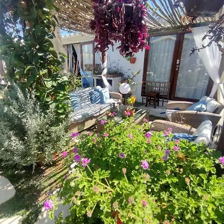 House Babylon With Kitchenette And Garden 4*