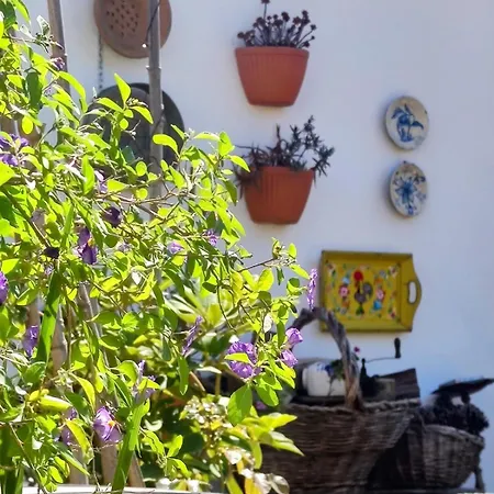 House Babylon With Kitchenette And Garden