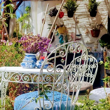 House Babylon With Kitchenette And Garden Gasthuis 4*