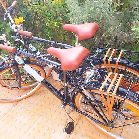 Gæstehus House Babylon With Kitchenette And Garden Torreira