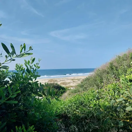 House Babylon With Kitchenette And Garden