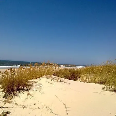 Gæstehus House Babylon With Kitchenette And Garden 4*