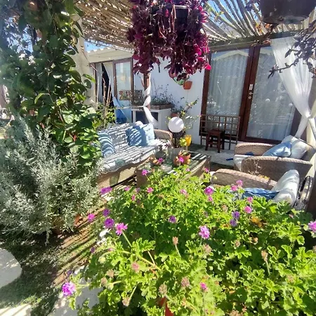 House Babylon With Kitchenette And Garden Pensjonat