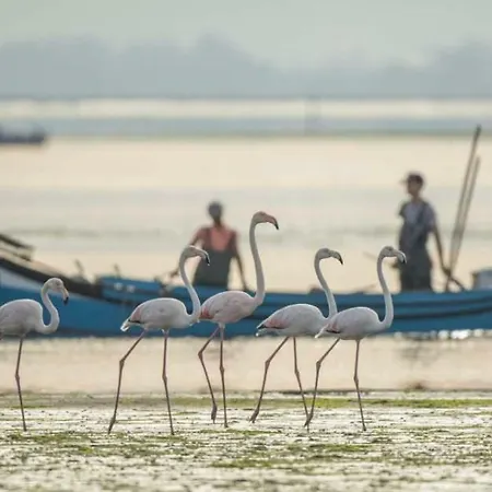 House Babylon With Kitchenette And Garden Gæstehus Torreira