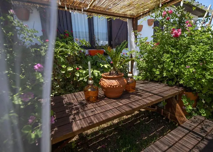 House Babylon With Kitchenette And Garden Affittacamere Torreira